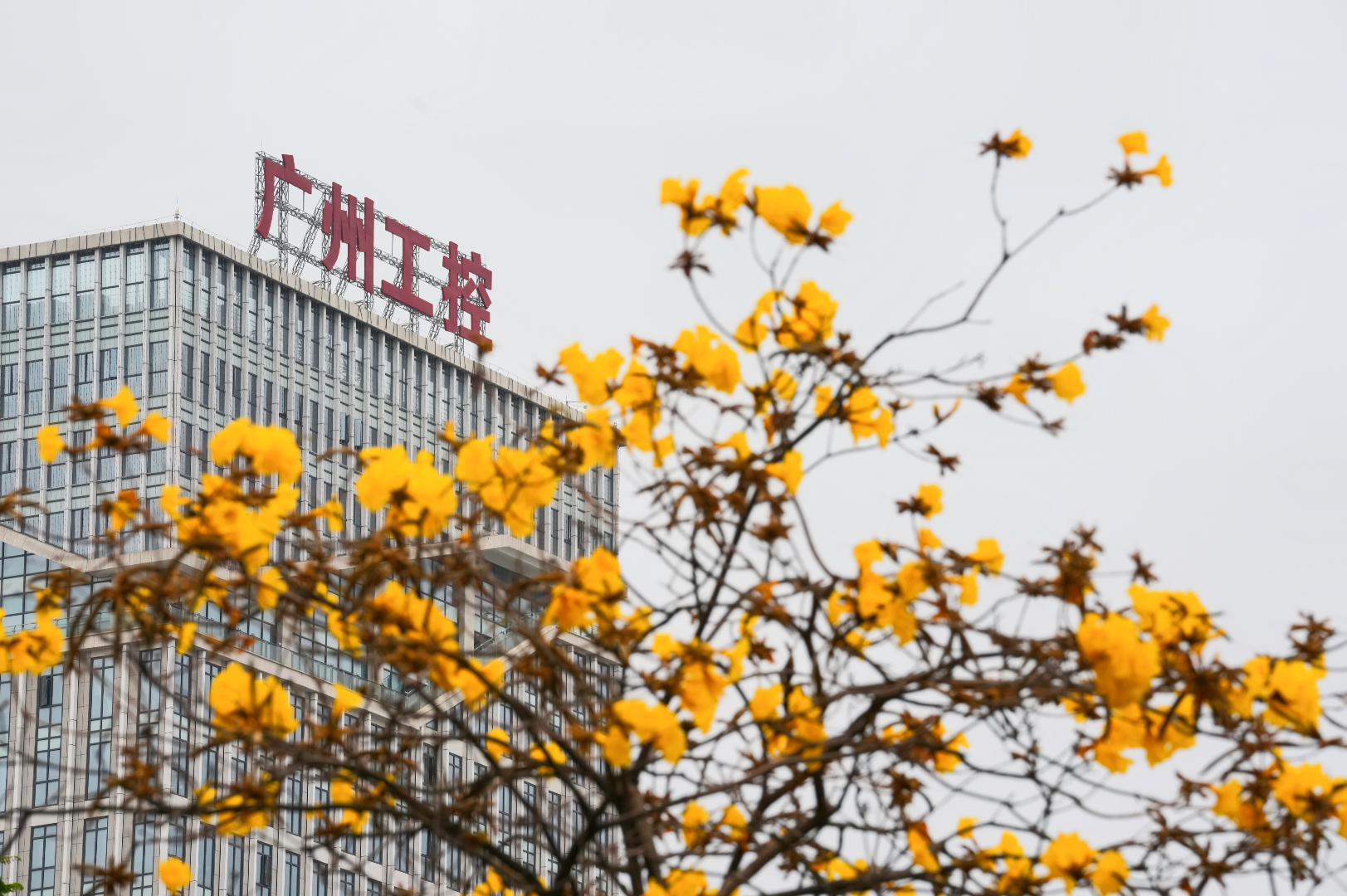 您好！我是世界500强广州工控，请收下我的新简历